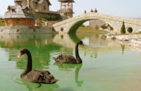 Stanišići izlet