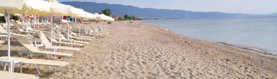 nea vrasna leto 2017
