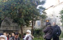 dubrovnik putovanje na korčulu