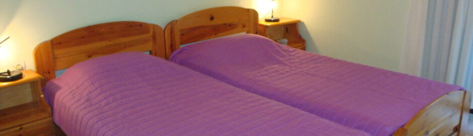 vila-frosso-neos-pirgos-evia-mayak-tours (1)
